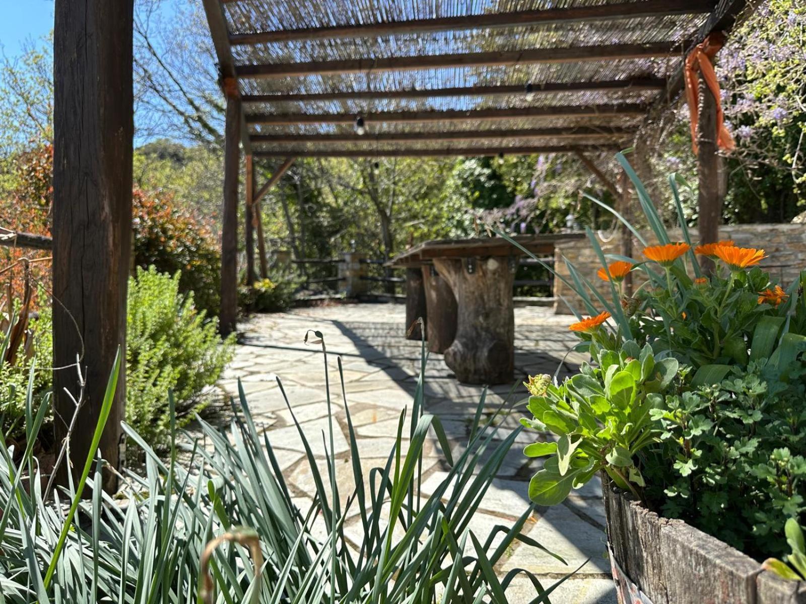 מלון ויזיצה Rastoni Pelion מראה חיצוני תמונה