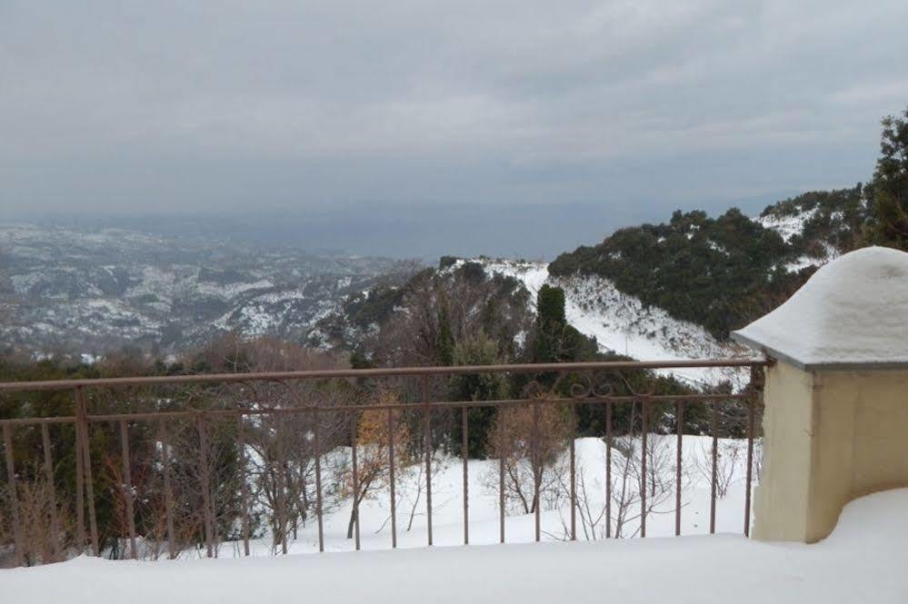 מלון ויזיצה Rastoni Pelion מראה חיצוני תמונה