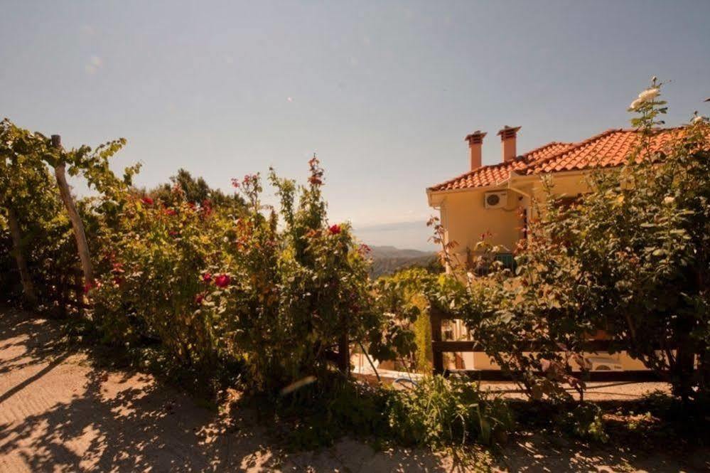 מלון ויזיצה Rastoni Pelion מראה חיצוני תמונה