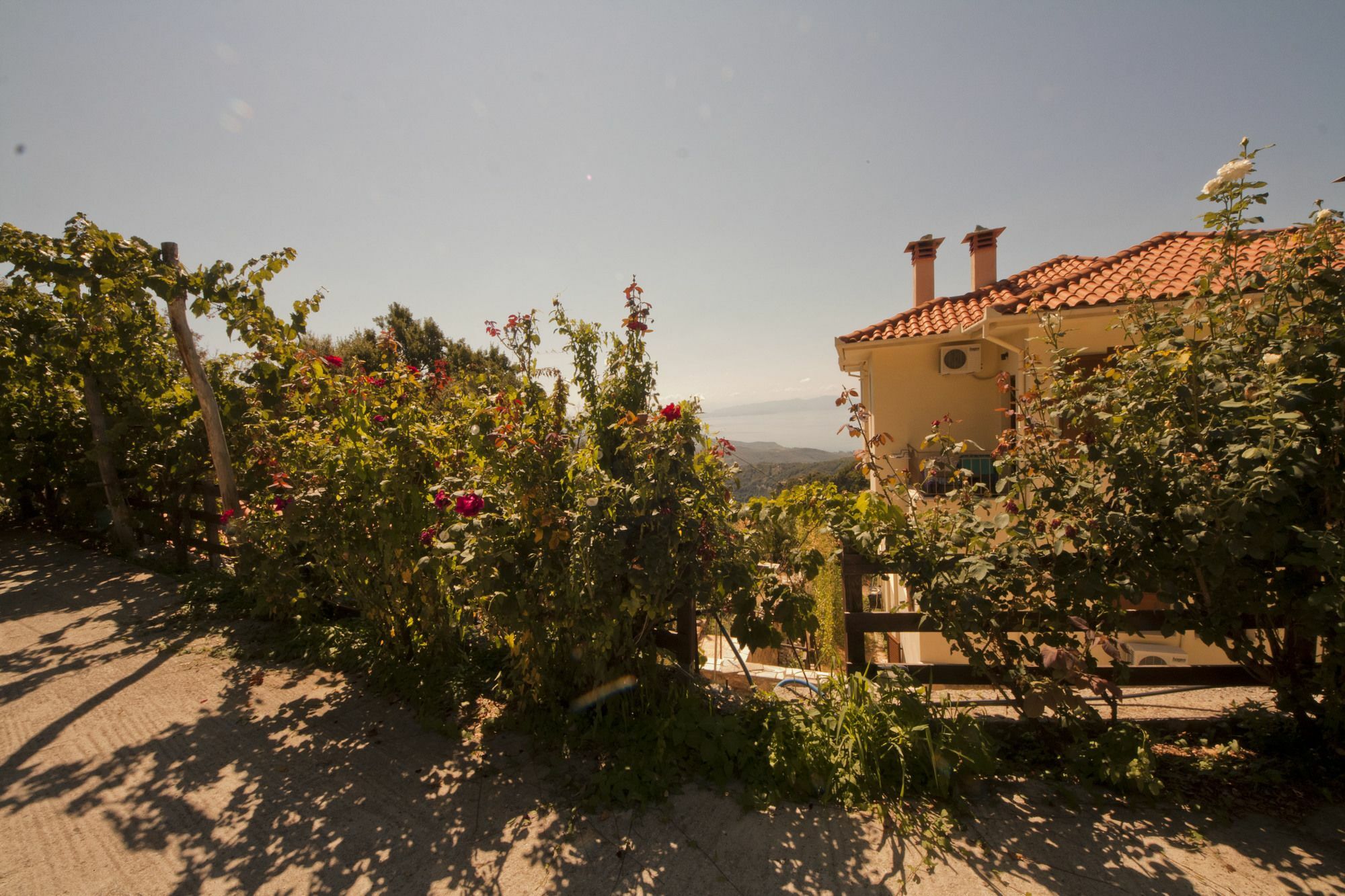 מלון ויזיצה Rastoni Pelion מראה חיצוני תמונה